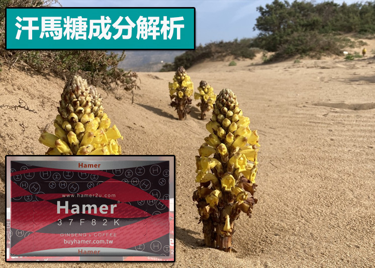 汗馬糖成分解析（草本協同＋能量修補）